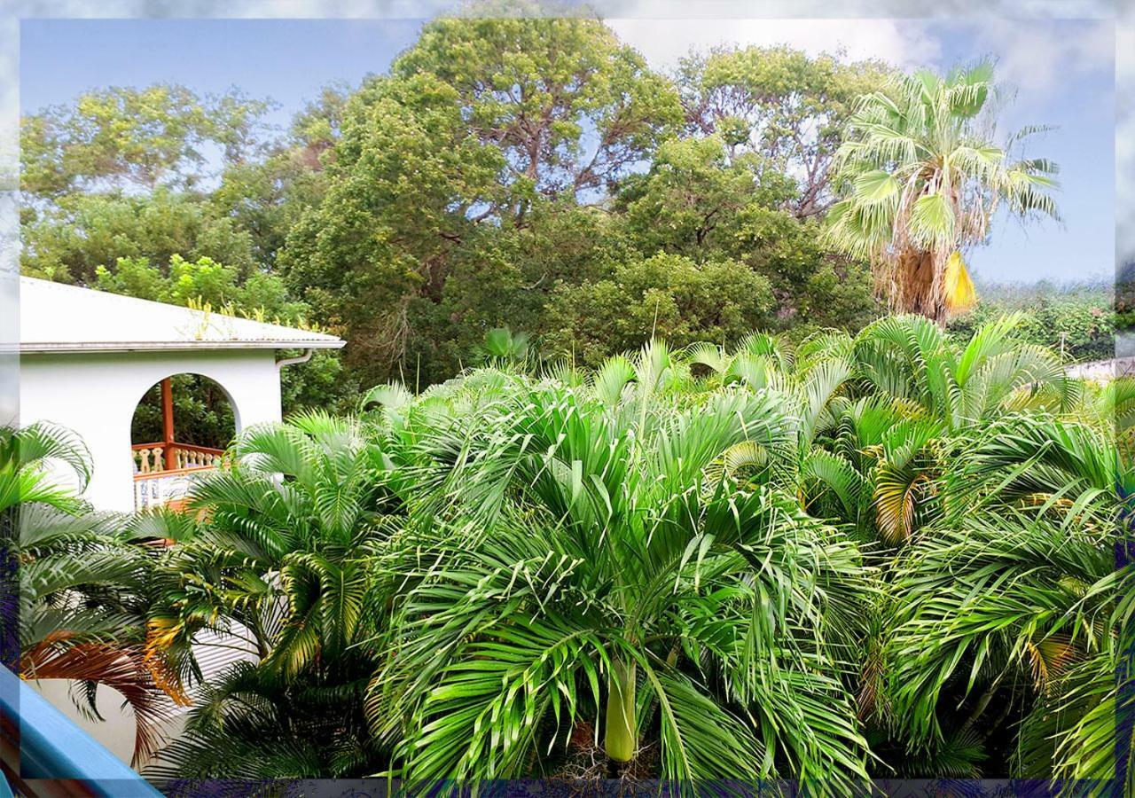Ti Studio Creole Mahogany Sainte-Anne Exteriör bild