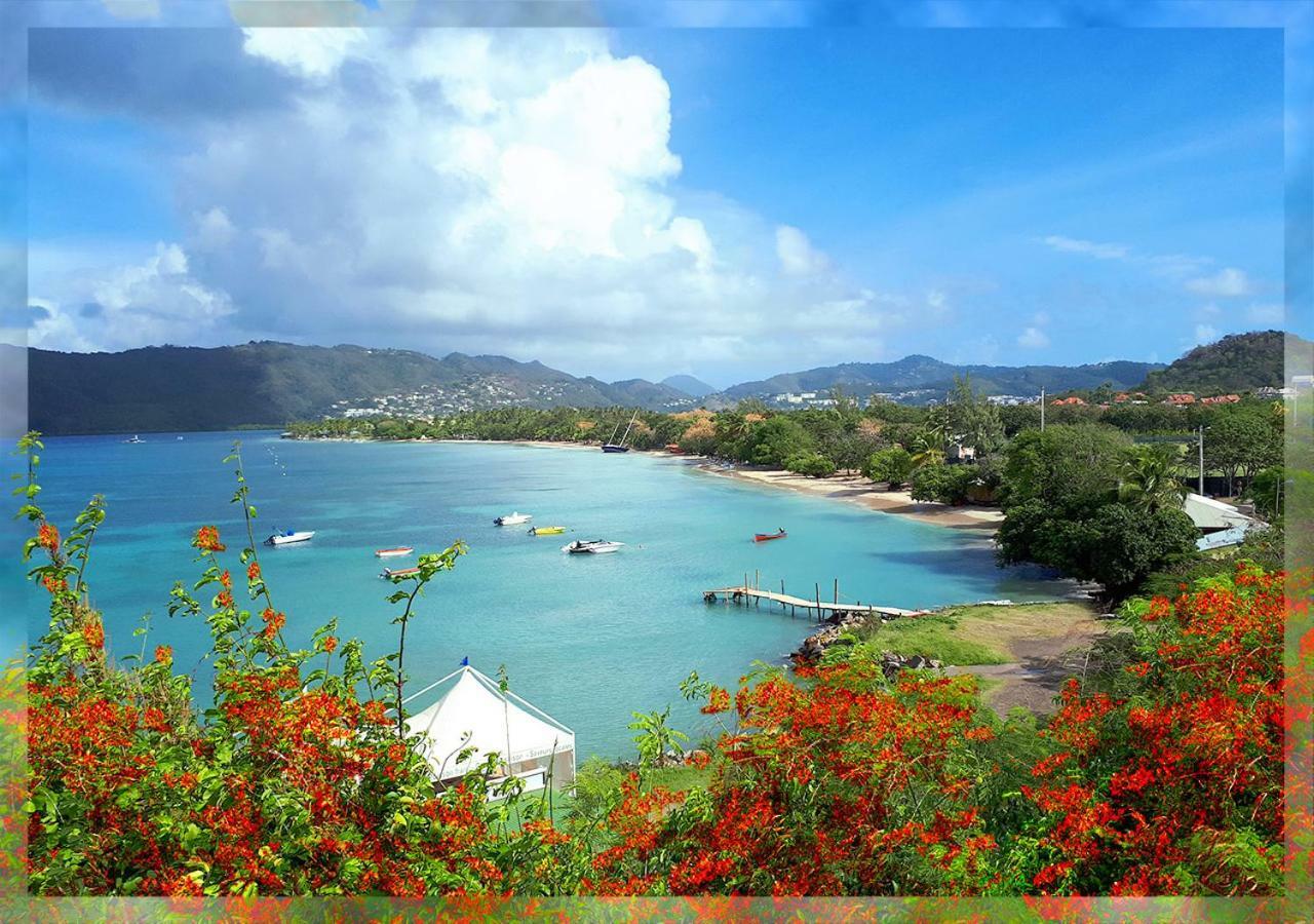 Ti Studio Creole Mahogany Sainte-Anne Exteriör bild